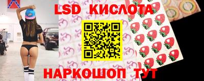 молекула духа Кингисепп