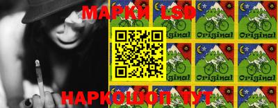 молекула духа Кингисепп