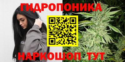 молекула духа Кингисепп