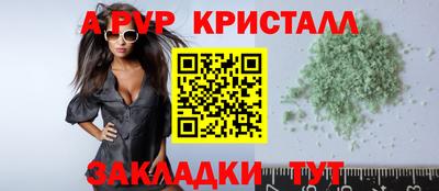 молекула духа Кингисепп